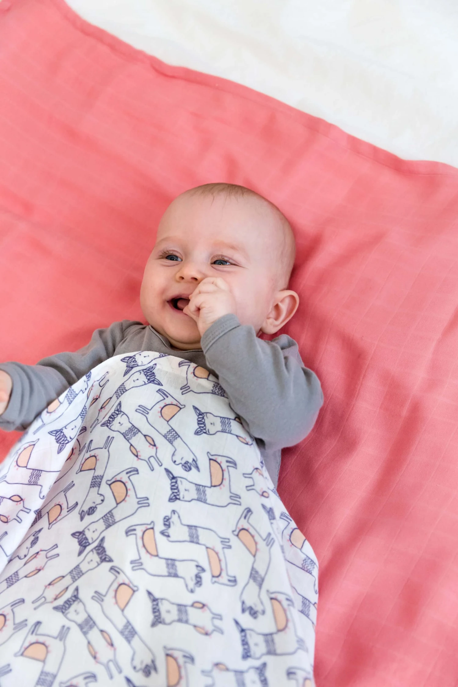 Lässig Heavenly Soft Bamboo Swaddle 2 Pack 19 Lässig Heavenly Soft Bamboo Swaddle 2 Pack