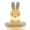 Light Miffy's Dream Décor