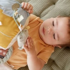 Little Dutch LD Activity Cube Little Goose