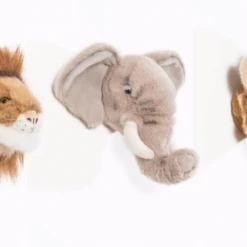 Wild & Soft Wall Trophy Safari Gift Box Décor