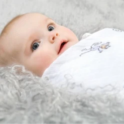Aden & Anais Swaddle 2 Pack