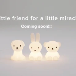 Mr Maria First Light Décor