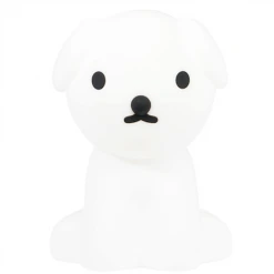 Mr Maria First Light Décor