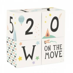 Milestone Baby Age + Moment Blocks