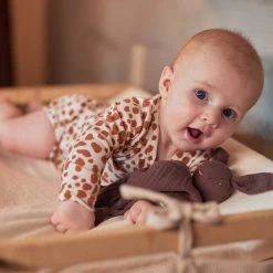 Jollein Pacifiers & Teethers Pacifier Cloth Bunny Ears