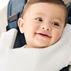 BabyBjörn Bib For Carrier One