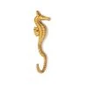 Kids Depot Hook Sini Seahorse
