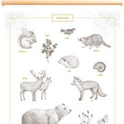 Little And Pure Productions Décor Poster Pimpelmees Forest Animals