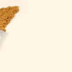 Kids Depot KD Isar Carpet Star 150 X 150 Cm Décor