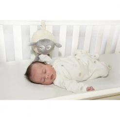 Sweetdreamers Ewan The Dream Sheep